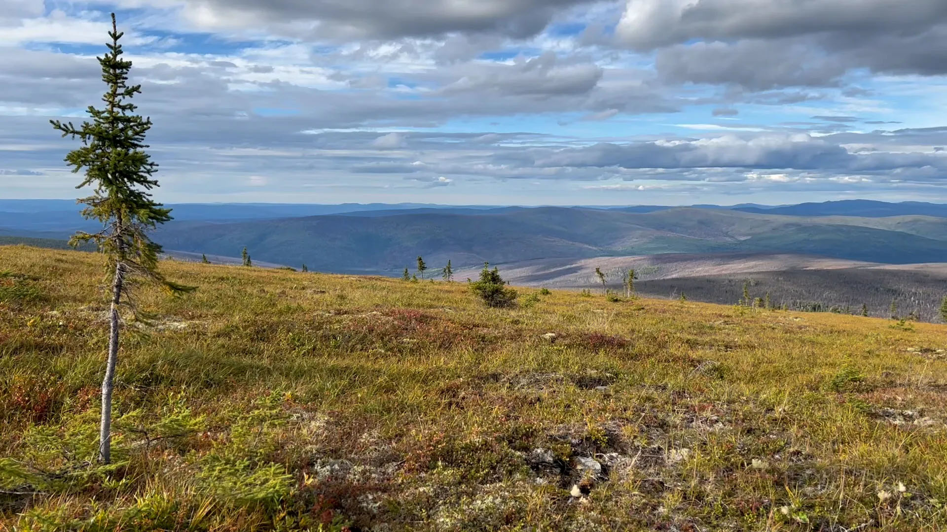 Landscape at Murphy Dome fire scar, outside of Fairbanks, Alaska